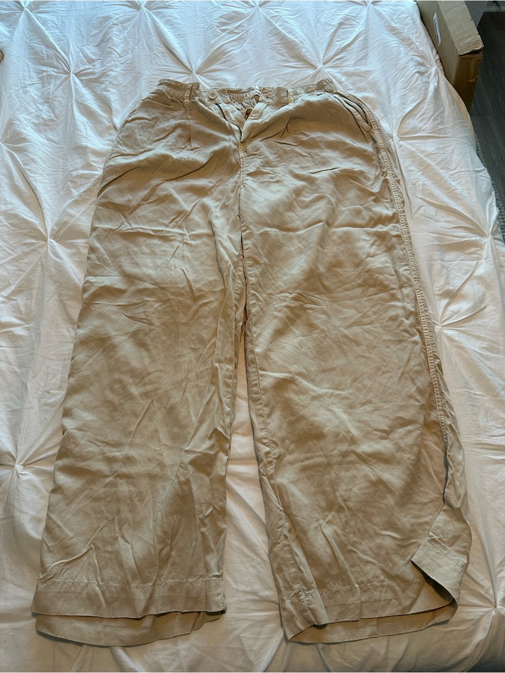 aerie Men's Khaki Wide-Leg Chinos - Light Tan